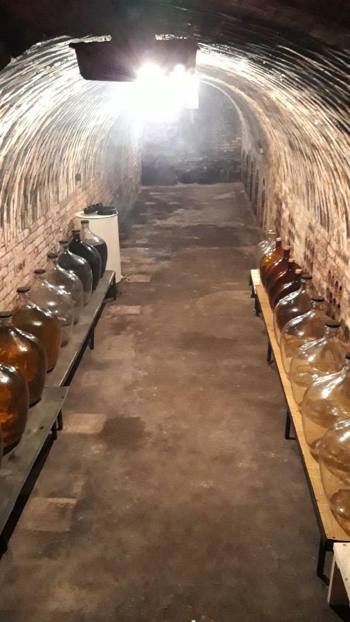 Penzion Na Vyhlidce Чейковице Екстериор снимка